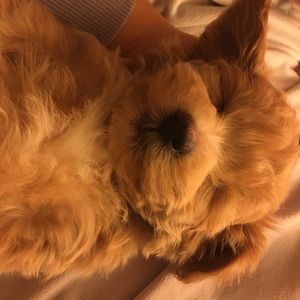 Meet your Posher, Kaitlynn